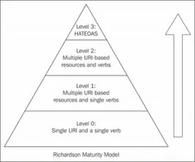 Richardson-maturity-model-2